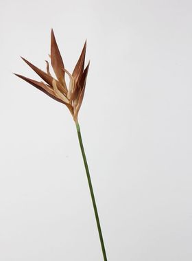 PU金翅蝎尾蕉仿真花植物配件火鹤鸟垂蕉 家居摆件装饰配材新款