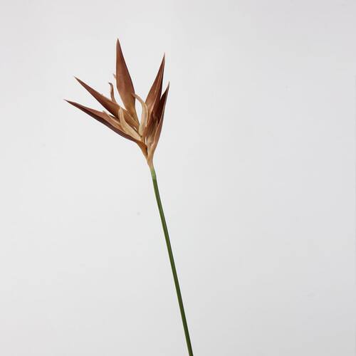 PU金翅蝎尾蕉仿真花植物配件火鹤鸟垂蕉 家居摆件装饰配材新款