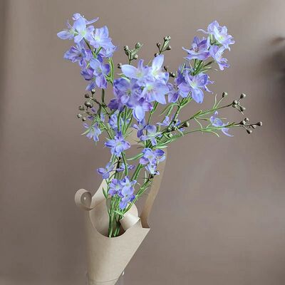 靓插花室内中国飞燕草枝紫娟1