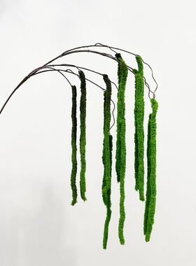 毛线吊米仿真花婚庆插花装饰商业软装陈列设计柔丽丝流苏小众花材