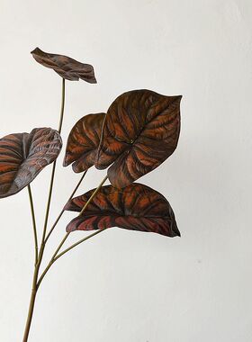 仿真植物 海芋叶 暗黑色系 单枝叶材 肌理感 室内装饰 摄影道具