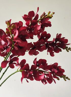 仿真花桔色千代兰假花兰花
