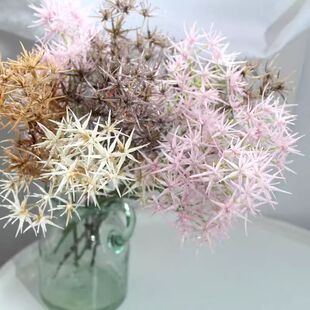 特色小配花芒克刺刺枝子仿真植物仿真花个性另类装饰美式乡村