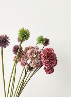 仿真花 蒲公英 球体花材 紫色 软件花菜小球 家居装饰 花艺造景