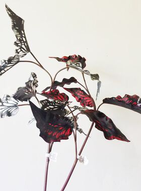 狂野丛林系列黑蝶彩叶海芋叶芋仿真花束复古客厅花艺插花家居装饰
