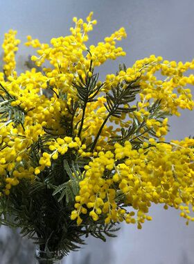 仿真花 金合欢 黄色系材 INS风 家居装饰 花艺造景 空间美陈 摄影