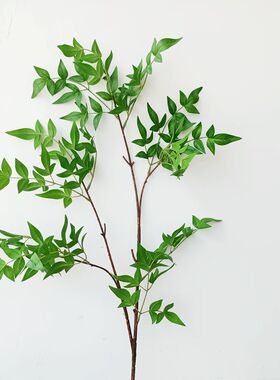 手感仿真南天竹绿植叶枝条逼真