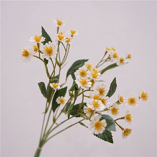 仿真长杆小野菊洋甘菊把束手捧小清新田园小雏菊花束婚庆家居摄影