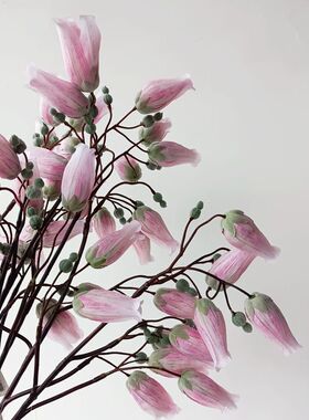 靓靓宫灯插花中国百合一枝粉色娟花1