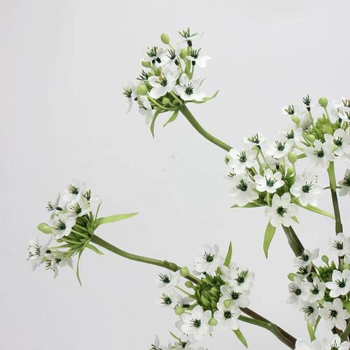 靓插花室内中国配材枝紫色娟1