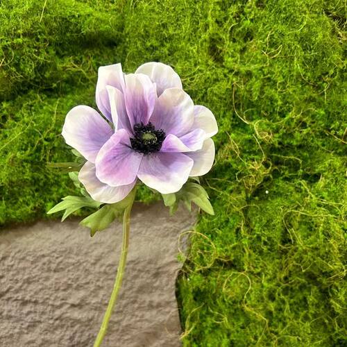 靓银莲样板间中国插花枝紫娟1