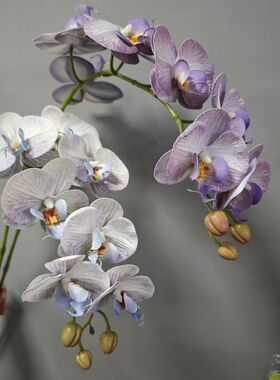 高档花卉仿真花蝴蝶兰高品质9头手感兰花婚庆花艺家居摆件装饰花