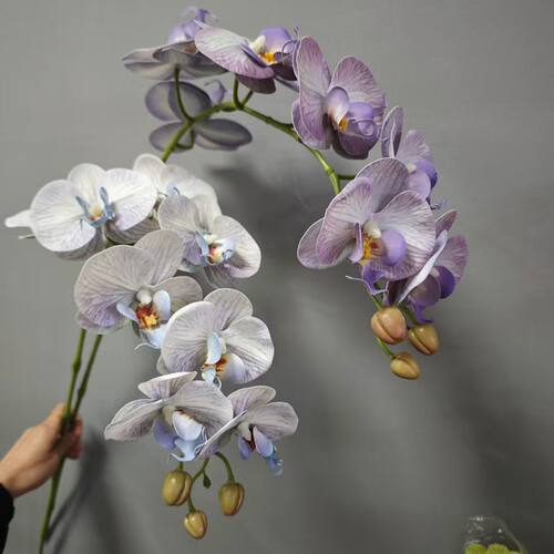 高档花卉仿真花蝴蝶兰高品质9头手感兰花婚庆花艺家居摆件装饰花