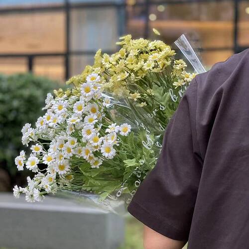 新款精致洋甘菊假花摆设客厅出行