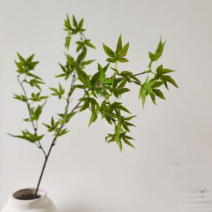 仿真红枫叶树枝装饰秋季摆放花艺枫树叶造景工程红色鸡爪枫假树叶