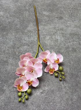 仿真 年宵花橙色蝴蝶兰 高仿保湿手感 假花 客厅 玄关插花配材