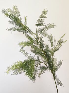 仿真文竹 仿真植物 蕨叶 单支中式样板间叶材 日式装置叶子蜈蚣草