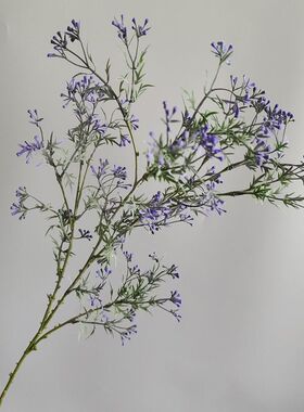 仿真米果枝圣诞花环插花配花芹菜果家居摆放婚庆满天星 紫色白色