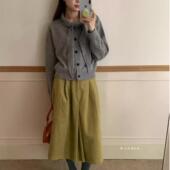 韩货wander双口袋灯芯绒伞裙31098设计感时尚 复古小个子日系复古