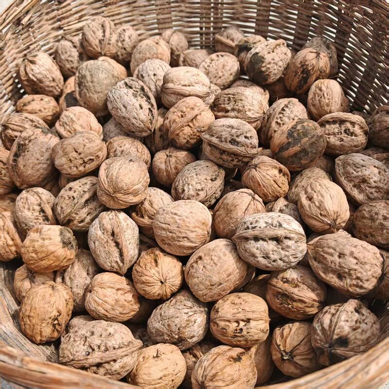 新货中条山野生老树核桃自然成熟无漂白原生态坚果零食原味丑核桃