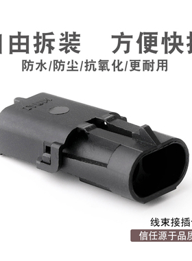 2孔汽车接插件 DJ3021Y-2.5-11福尔德连接器线束防水插头12010973