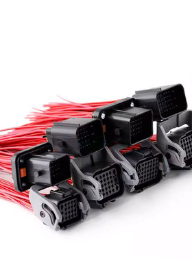 1192800MB汽车防水连接器19-36P插件 DJ7331-1.5-3.5-11/21带线