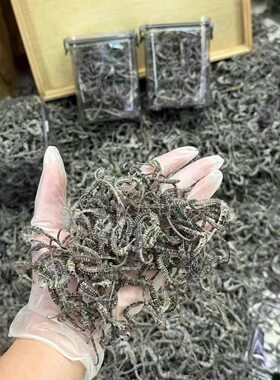 装藏装脏专用最小海马干货2-4cm海马干中药材增炖高汤煲汤泡酒