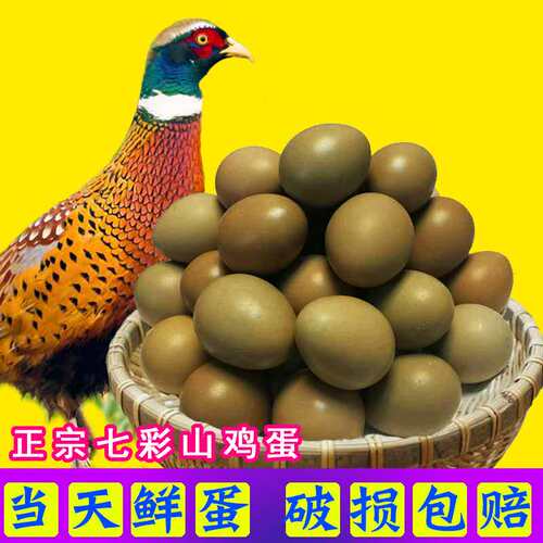 七彩山鸡蛋笨鸡蛋60枚柴新鲜草鸡蛋农村杂粮散养土笨鸡蛋秒发包邮