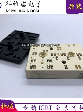 SKiiP31NAC12T4T42 SKIIP32NAB12T45 SKIIP31NAC12T2 SKIIP30NAC1