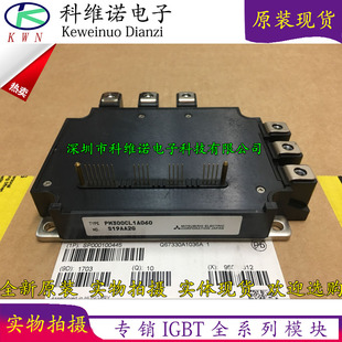全新原装PM300CLA060 PM300CLA060 PM300CL1A060 PM300RSD060