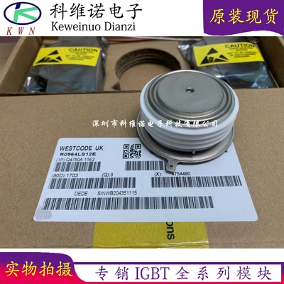 R0964LS08E R0964LS09E R0964LS10E  R0964LS12E R7203506XX00