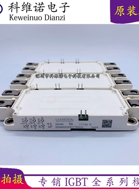 SEMIX653GD176HDC SEMIX353GD176V1 SEMiX653GD176v1 SEMiX253GD1
