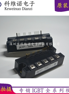 PM75RG1B120 PM75CS1D060 PM100CS1D060 PM150CS1D060 PM200CS1D0