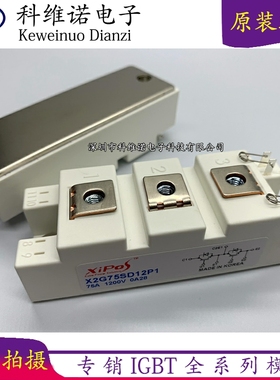 全新原装X2G50SD12P1 X2G75SD12P1 X2G100SD12P1 X2G100SD12P3