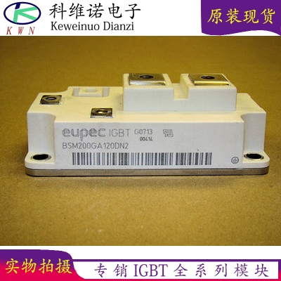 BSM300GA120DN2S BSM200GA120DN2FS-E3256    BSM400GA170DLCS