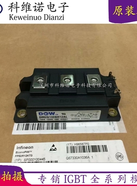 全新DM2G200SH12AE DM2G300SH12AE DM2G150SH12AE DM2G100SH12AL