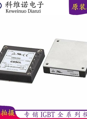 CBS502424 CBS2002412 CBS3504828 进口COSEL电源模块