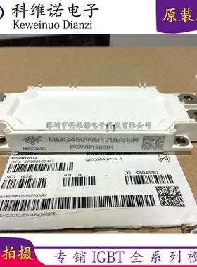 MMG450WB170B MMG450WB170B6EN MMG600WB170B6EN MMG300WB170B