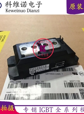全新PHT250N16 PHT25016 PHT2508 PHT15012 PHT3008CT PHT40016