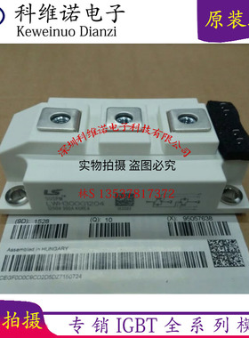 LWH200G1204 LWH150G1204 LWH300G1204 1203 1202 1201 IGBT模块