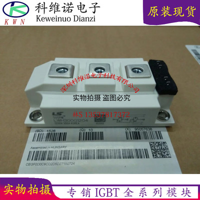 LWH200G1204 LWH150G1204 LWH300G1204 1203 1202 1201 IGBT模块