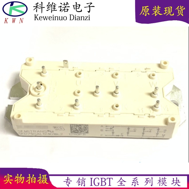 SKD100GAL123D16L2 SKD75GAL123D16L2 SKD100GA123DGAL