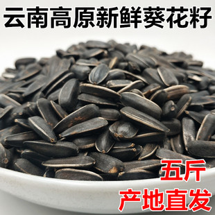 云南新鲜原味香甜黑生瓜子5斤带壳/葵花籽瓜子生的向日葵南瓜子仁