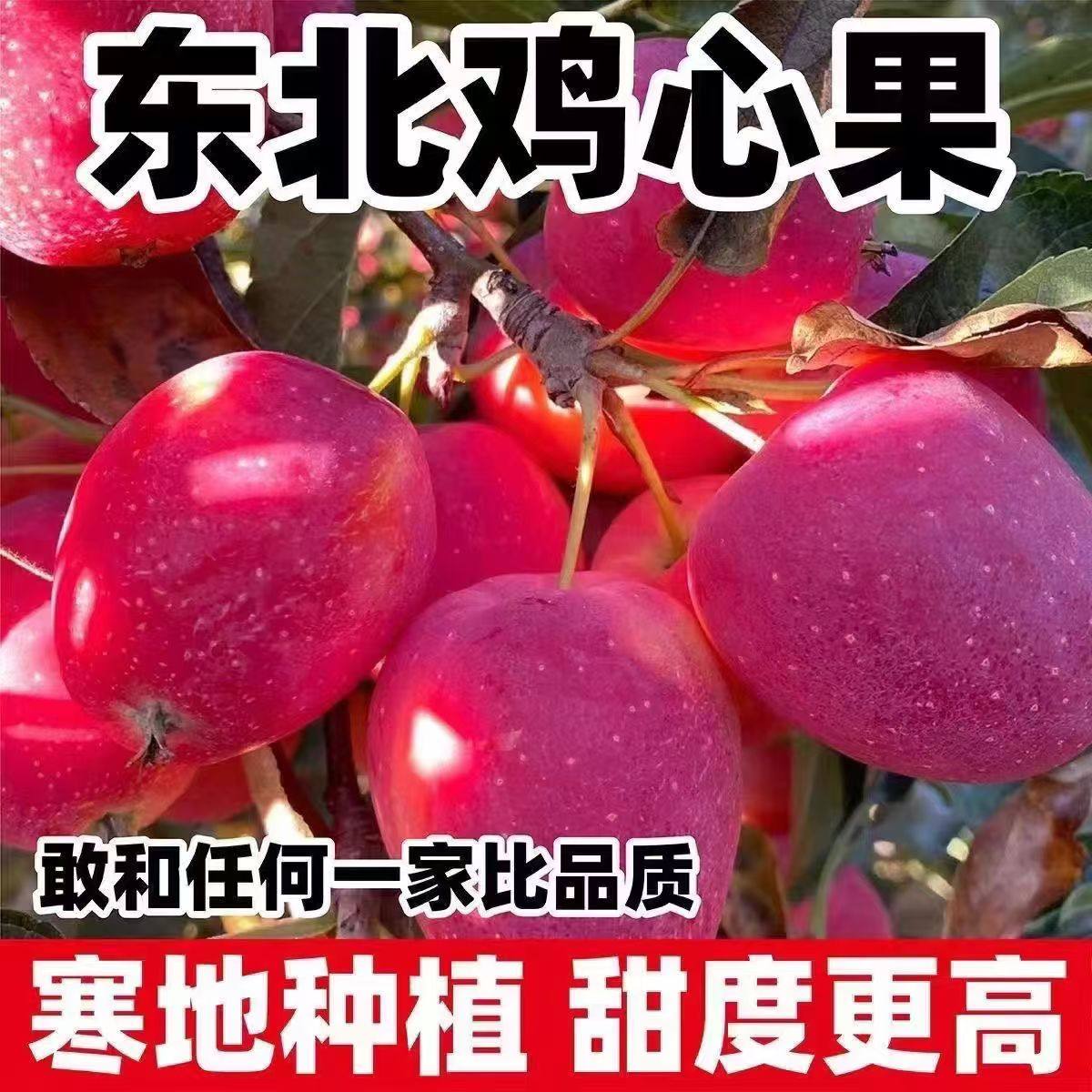 东北鸡心果新鲜5斤整箱当季水果海棠果红沙果新鲜酸甜特产小苹果,水产肉类/新鲜蔬果/熟食,苹果,淘宝优惠券,粉丝福利购,淘宝优惠卷