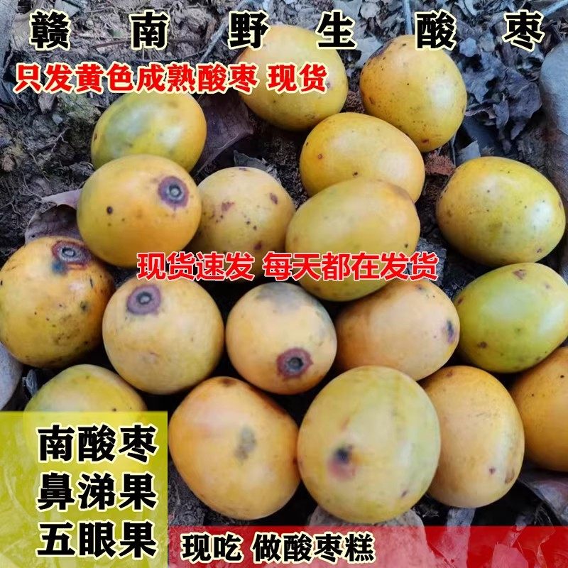 野生酸枣新鲜现摘南酸枣五眼果鼻涕果青黄酸枣孕妇水果酸枣糕现货