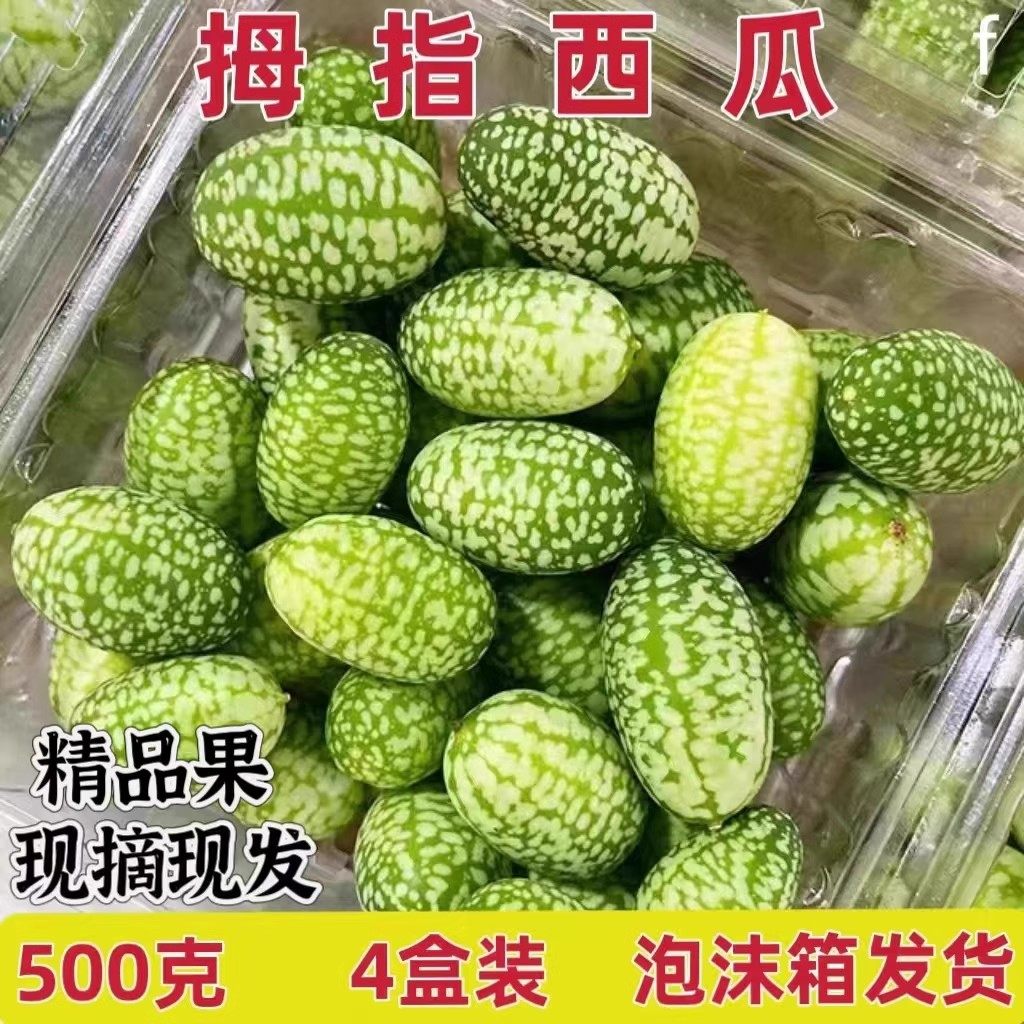 特色拇指西瓜鲜果新鲜迷你网红绿瓢小西瓜佩普基诺水果现摘1斤,水产肉类/新鲜蔬果/熟食,西瓜,淘宝优惠券,粉丝福利购,淘宝优惠卷