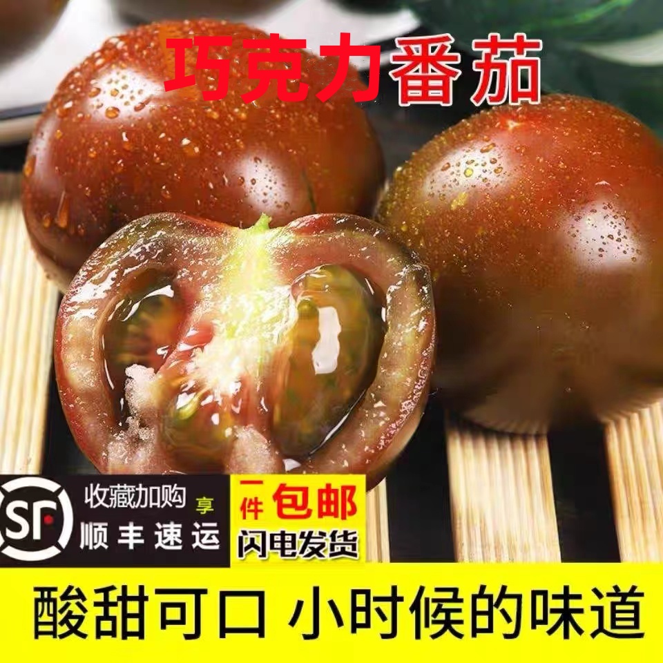 巧克力西红柿新鲜孕妇水果有籽自然熟圆紫生吃黑草莓柿子山东特产