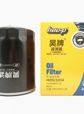 L52041适配江淮轻卡货车FE130国六1010320FE130机油滤清器滤芯格