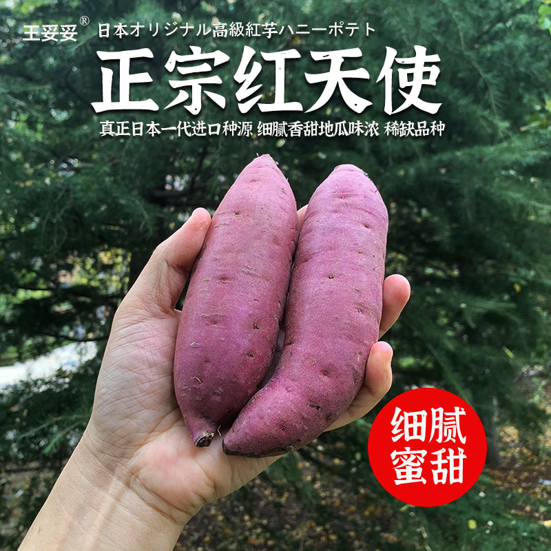王妥妥03【卖完/11月开始】~红天使地瓜红薯黄金蜜薯/比红瑶蜜薯