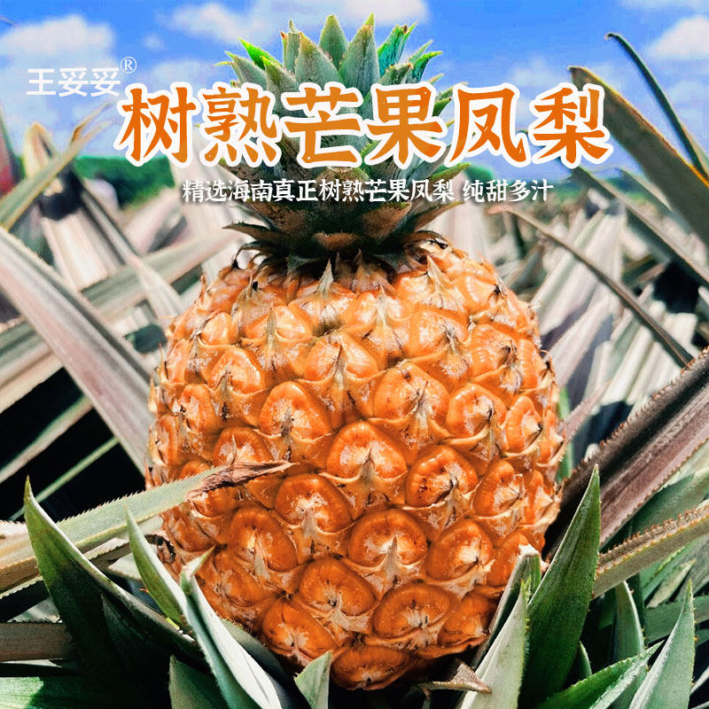 【结束/明年约】王妥妥®当季新鲜海南芒果凤梨台农23号水果菠萝图片
